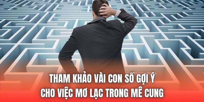 Tham khảo vài con số gợi ý cho việc mơ lạc trong mê cung
